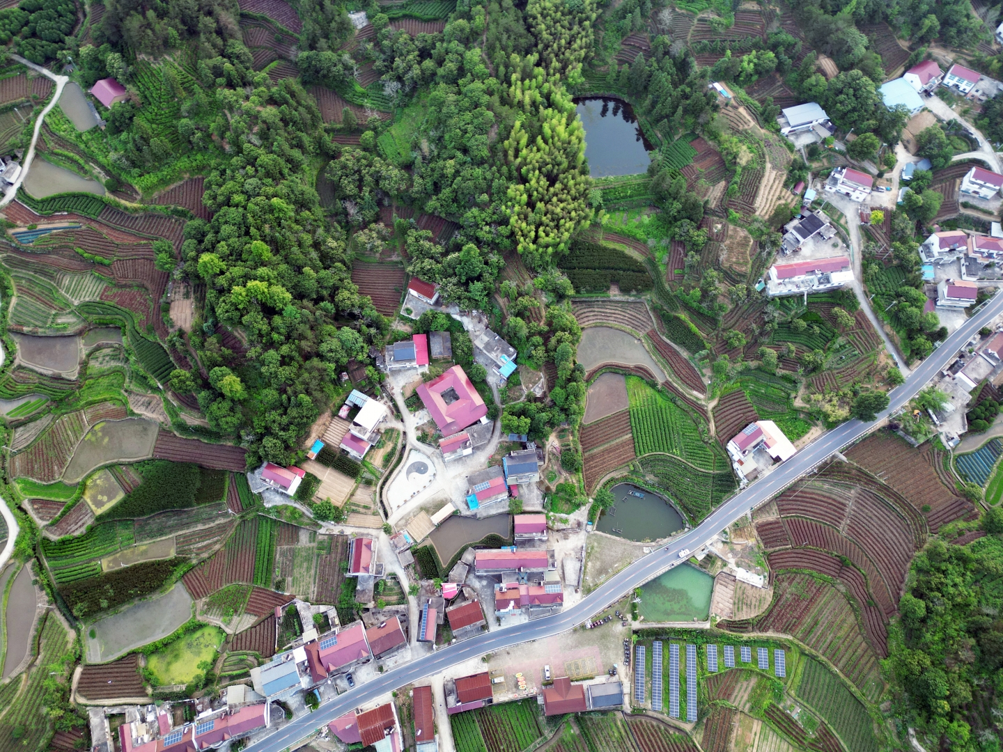 DJI_0751 拷貝.jpg