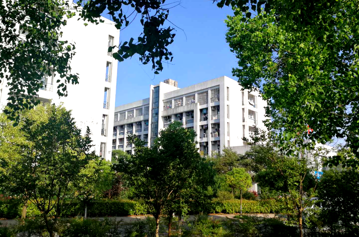 盛夏科院